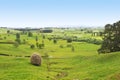 New Zealand Farmland Valley