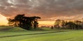 New Zealand Farmland Winter