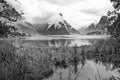 New Zealand, Fjord Milford Sound Royalty Free Stock Photo