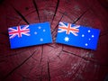 New Zealand flag with Australian flag on a tree stump