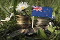 New Zealand flag with stack of money coins with grass
