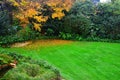 New Zealand Garden Scene landscaping