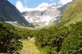 New Zealand glacial valley Royalty Free Stock Photo