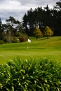 New Zealand Golf Course Flag marking hole Royalty Free Stock Photo