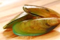 New Zealand green-lip mussels Royalty Free Stock Photo