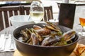 New Zealand green lipped mussels Royalty Free Stock Photo