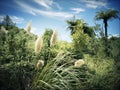 New Zealand greenery Royalty Free Stock Photo