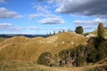 New Zealand hills