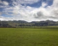 New Zealand - hills and meadows