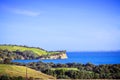 New Zealand iconic landscape - lush green hills and cliff over blue sea.