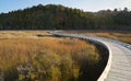 New Zealand, iron path over Okarito lagoon Royalty Free Stock Photo