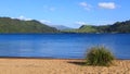 New Zealand lake panorama. Lake Okareka from Boyes Beach Royalty Free Stock Photo