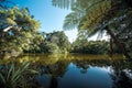 New Zealand lake Royalty Free Stock Photo