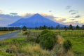 New Zealand landscape with farmland and grazing cows on background volcano Taranaki Royalty Free Stock Photo