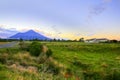 New Zealand landscape with farmland and grazing cows on background volcano Taranaki Royalty Free Stock Photo