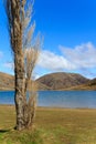 New Zealand landscape. Lake Lyndon in the Southern Alps