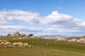 New Zealand Landscape Otago