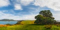 New Zealand landscape with Pohutukawa Tree on Bay of Islands Royalty Free Stock Photo