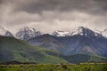 New Zealand landscape