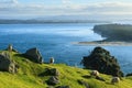 New Zealand landscape. Sheep grazing on Mount Maunganui, sea in the background