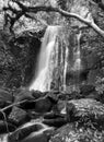 New Zealand, Matai Falls