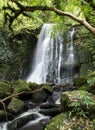 New zealand, matai falls Royalty Free Stock Photo