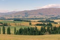 New Zealand mountain slope