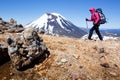 New Zealand mountain trekking