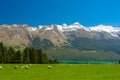 New Zealand mountains Royalty Free Stock Photo