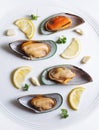 New Zealand Mussels with slices lemon, parsley and garlic, on white dish Royalty Free Stock Photo