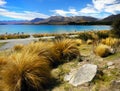 New Zealand National Parks, South Island Royalty Free Stock Photo