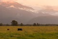 New Zealand natural landscape during sunrise Royalty Free Stock Photo