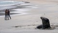 Tourist girls stand afar from a wild fur seal in New Zealand