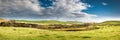 New Zealand pastures panorama Royalty Free Stock Photo