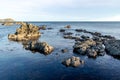 New Zealand Rockpool, Breaker Bay Wellington Royalty Free Stock Photo