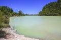 New Zealand, Rotorua, Wai-O-Tapu Thermal Wonderland, Lake Ngakoro Royalty Free Stock Photo