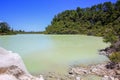 New Zealand, Rotorua, Wai-O-Tapu Thermal Wonderland, Lake Ngakoro Royalty Free Stock Photo