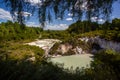 Wai-O-Tapu Thermal Wonderland, Lake Ngakoro Royalty Free Stock Photo