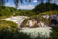 Wai-O-Tapu Thermal Wonderland, Lake Ngakoro Royalty Free Stock Photo