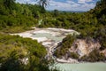 Wai-O-Tapu Thermal Wonderland, Lake Ngakoro Royalty Free Stock Photo