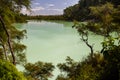 Wai-O-Tapu Thermal Wonderland, Lake Ngakoro Royalty Free Stock Photo