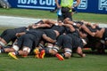New Zealand Rugby Team