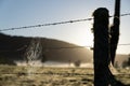 New Zealand rural sunrise landscape in selective focus beyond fence and dewdrop laden spiderweb Royalty Free Stock Photo