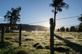 New Zealand rural sunrise landscape in selective focus beyond fence and dewdrop laden spiderweb Royalty Free Stock Photo