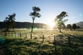 New Zealand rural sunrise landscape Royalty Free Stock Photo