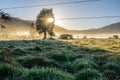 New Zealand rural sunrise landscape Royalty Free Stock Photo