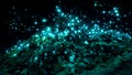 New Zealand`s glow worms in a dark cave Royalty Free Stock Photo