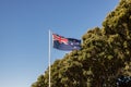 New Zealand Flag With Pohutukawa Royalty Free Stock Photo