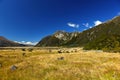 New Zealand's Valley Royalty Free Stock Photo