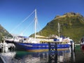 New Zealand, Scenic Fjord Landscape, Milford Sound Cruise Royalty Free Stock Photo